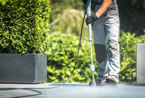 Best Gutter Cleaning  in Ida Grove, IA